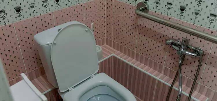Meeting Diverse Needs With Accessible Restroom Solutions in Farmers Branch, TX